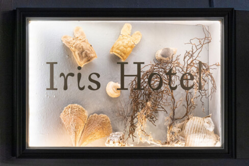 Iris Boutique Hotel (8)