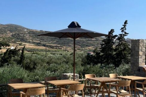 Ninemia Suites (3)