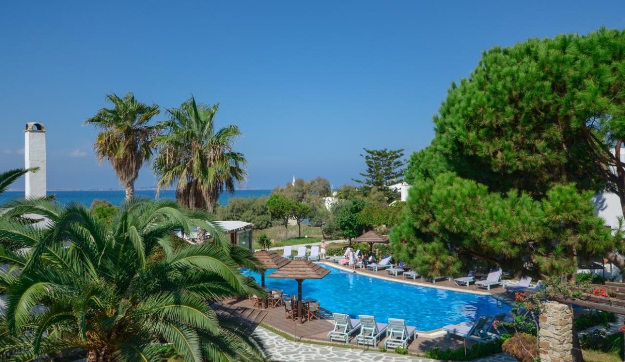 alkyoni beach hotel naxos (16)