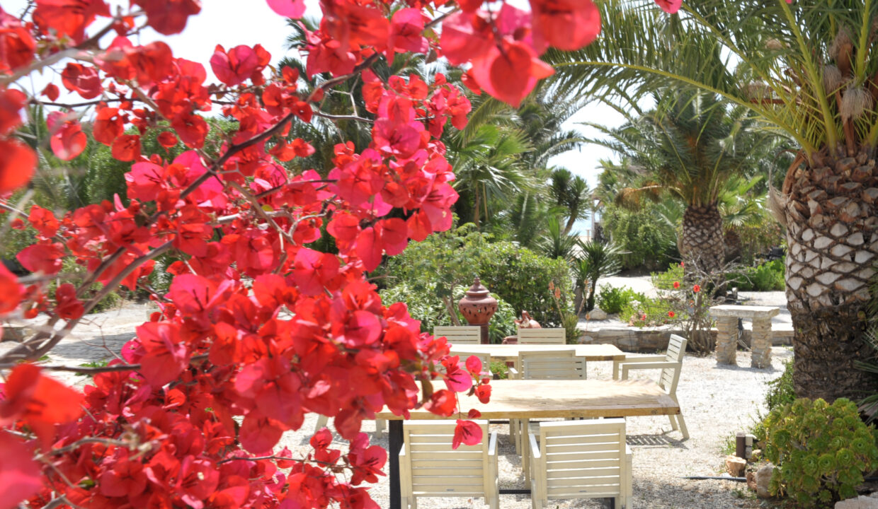 medusa beach resort & suites naxos (1)