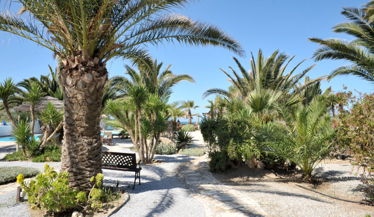 medusa beach resort & suites naxos (3)