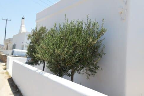 JASMINE OUTSIDE AREA (2)