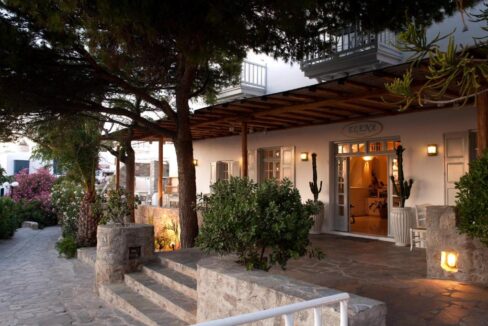 Elena Hotel Mykonos (3)