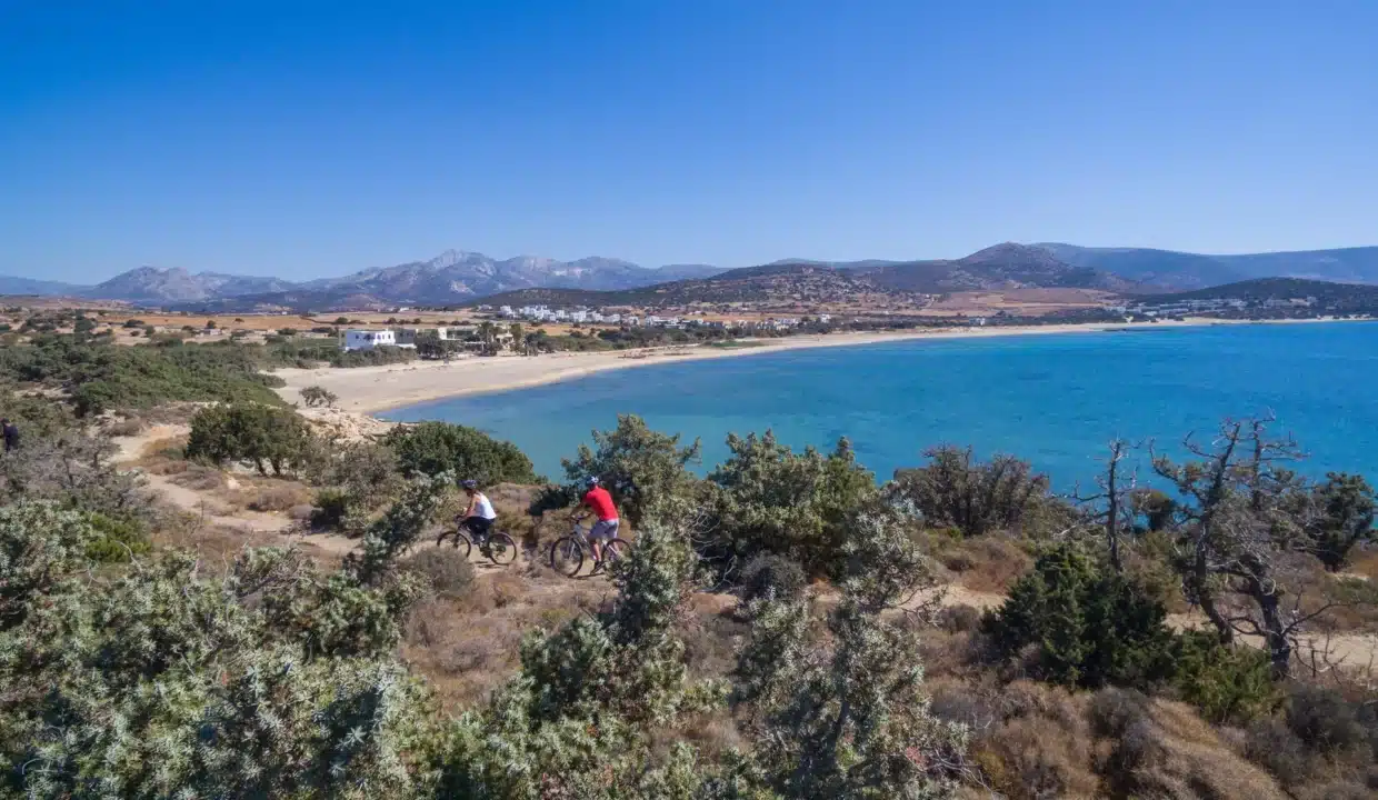 Finikas Hotel Naxos (16)