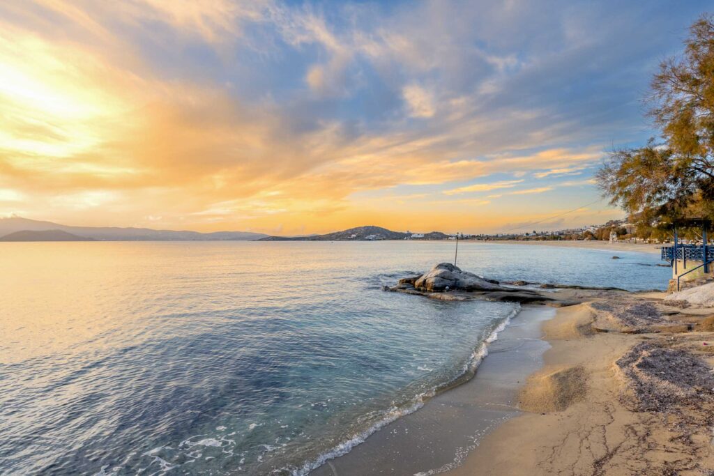 Naxos Intermediate-08