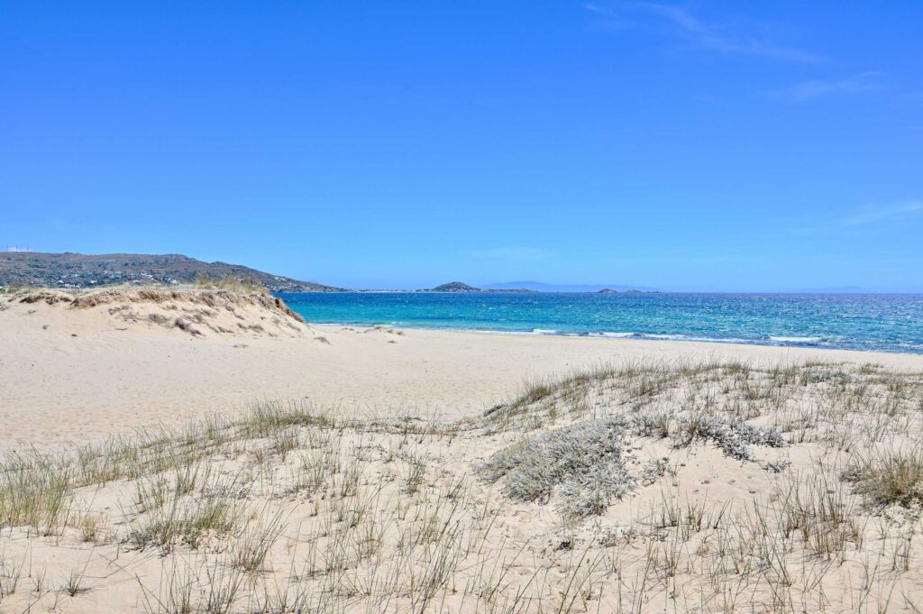 Naxos Intermediate-23