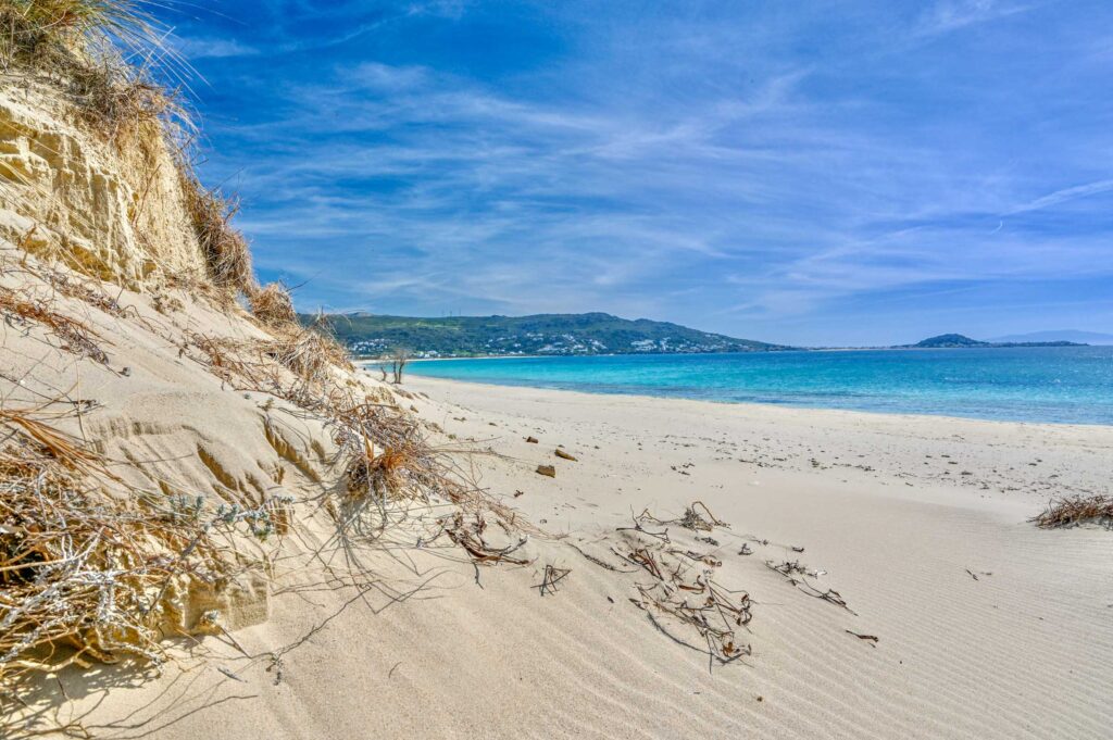 Naxos Intermediate-25