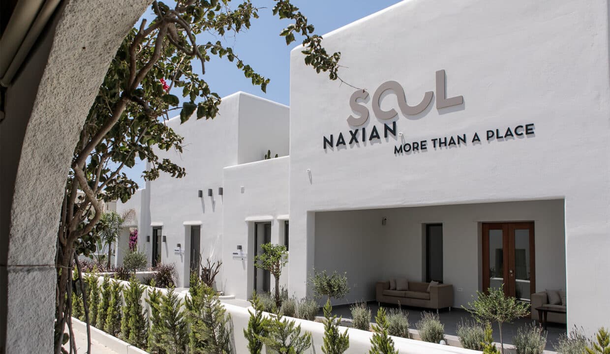 Naxian Soul Hotel (10)