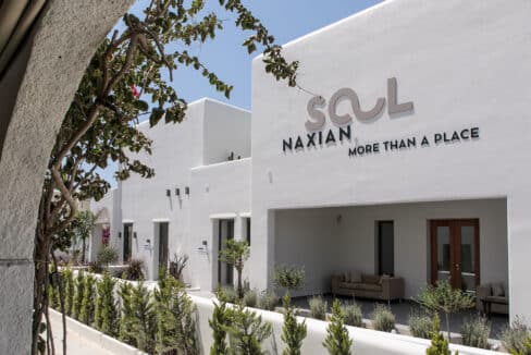 Naxian Soul Hotel (10)