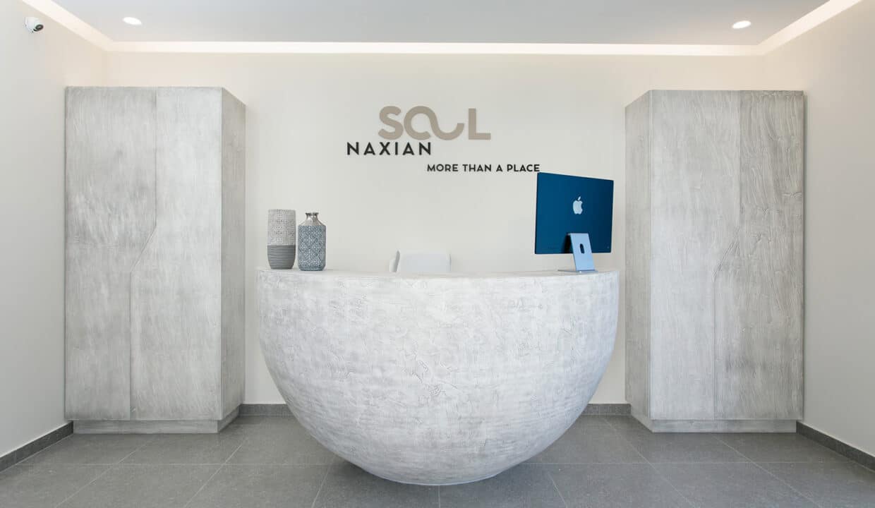 Naxian Soul Hotel (14)