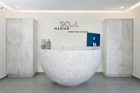 Naxian Soul Hotel (14)