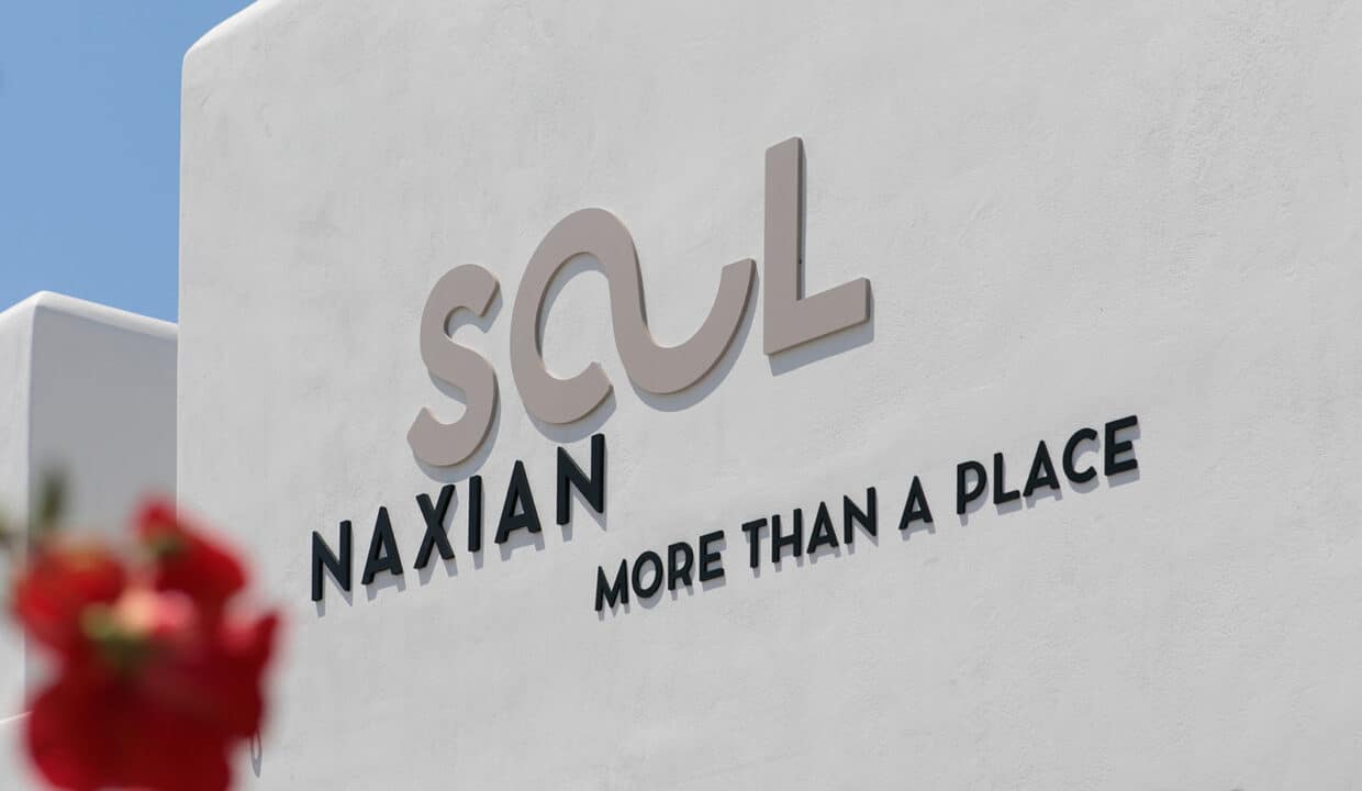 Naxian Soul Hotel (27)