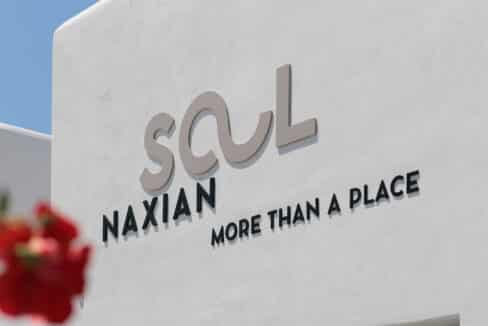 Naxian Soul Hotel (27)