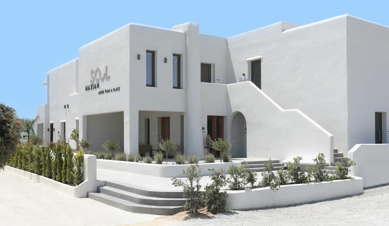 Naxian Soul Hotel (4)