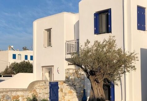 Dagos Naxos Apartment Kastraki (5)