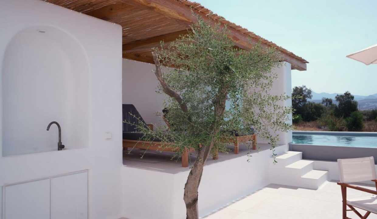 Alio Naxos Luxury Suites (12)
