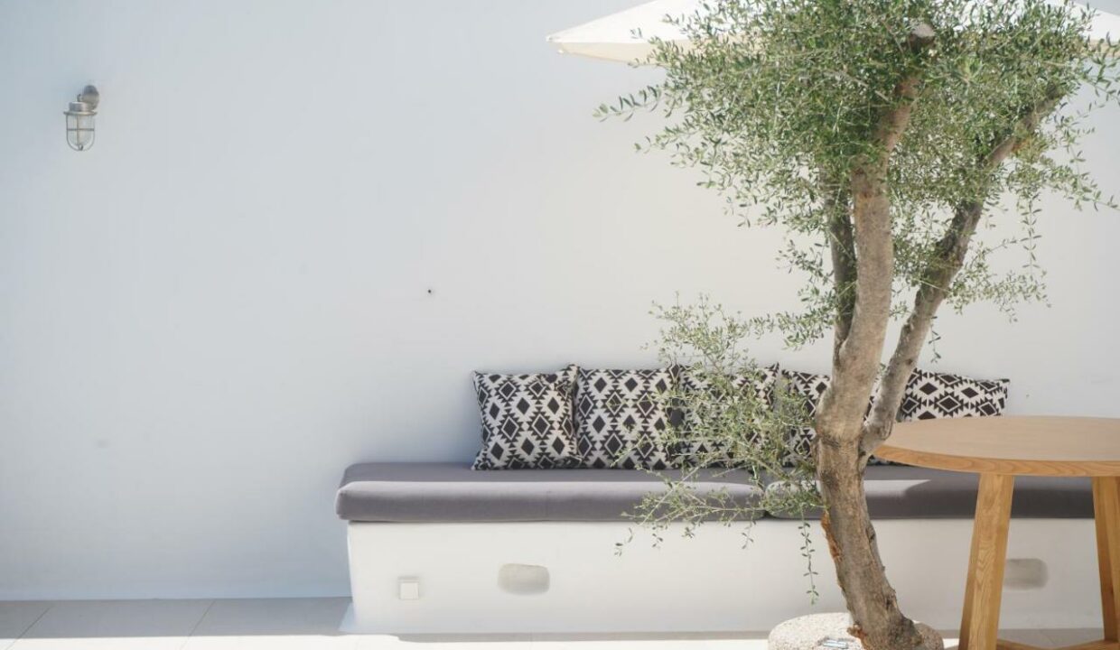 Alio Naxos Luxury Suites (6)