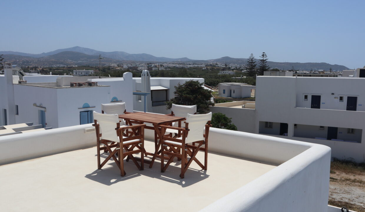 Sea La View Apartment - Agios Prokopios (16)