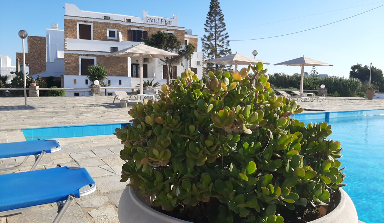 fikas hotel naxos (29)