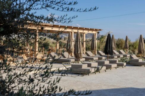 NAXOS SUNDUNES HOTEL (18)