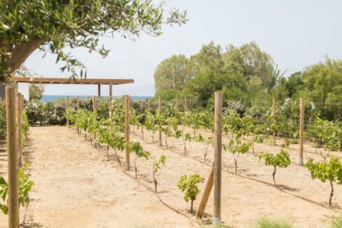 VILLA AMMILIA (15)