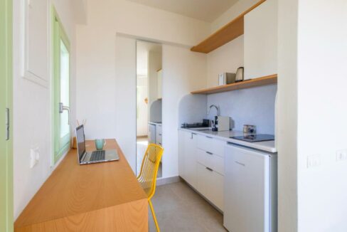 PLIONI SUITE (1)