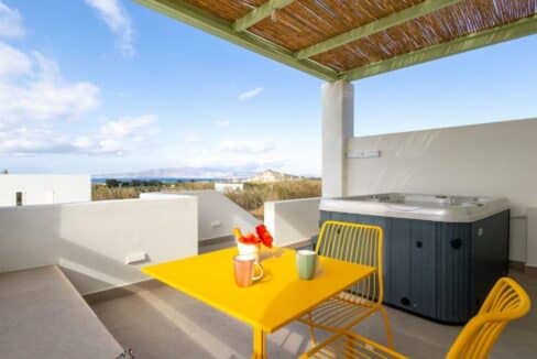 PLIONI SUITE (4)