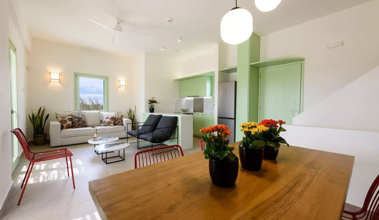 Plioni Villas - Luxury Villa - 2 Bedrooms Villa with Private Pool (33)
