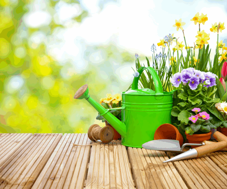 property management (14)