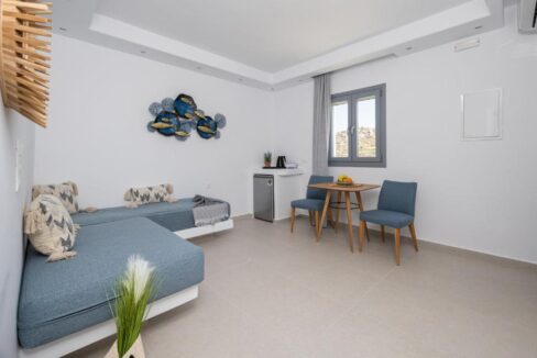 One Bedroom Deluxe Apartment (2)