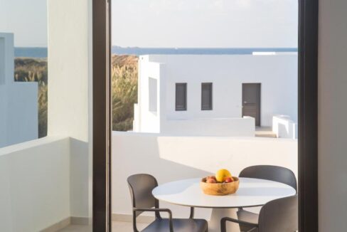 DELUXE PARTIAL SV SUITE (4)