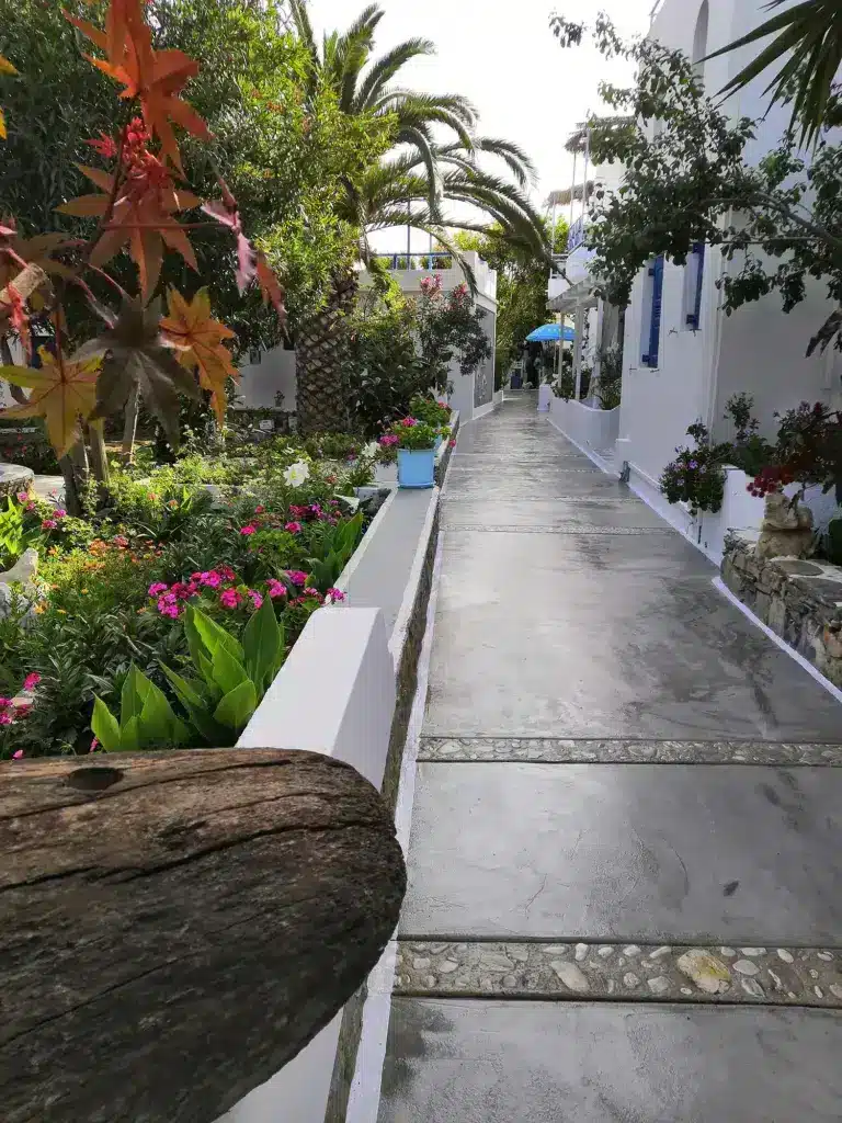 Quadruple Studio (2)