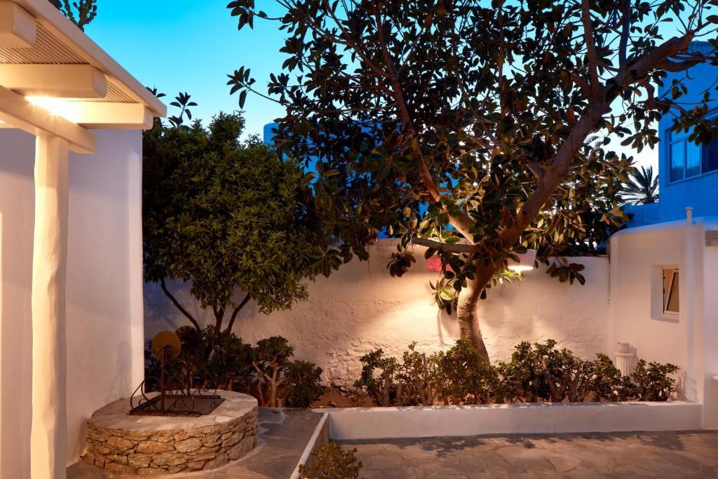 SUPERIOR STUDIO (10)