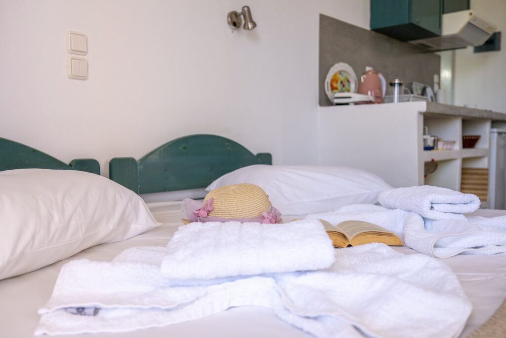 Studio with Garden View - Number 2 (5)