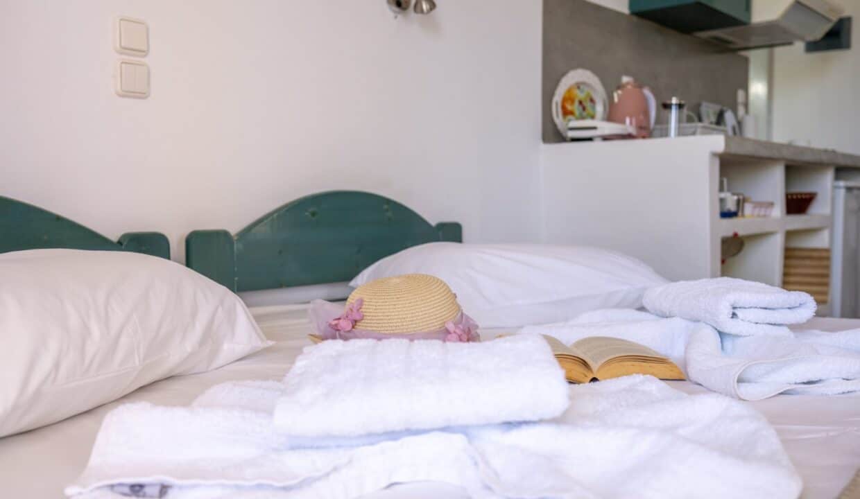 Studio with Garden View - Number 2 (5)