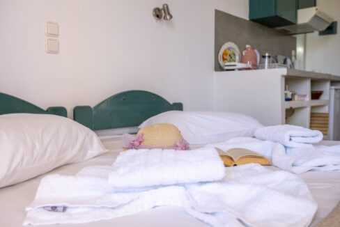 Studio with Garden View - Number 2 (5)