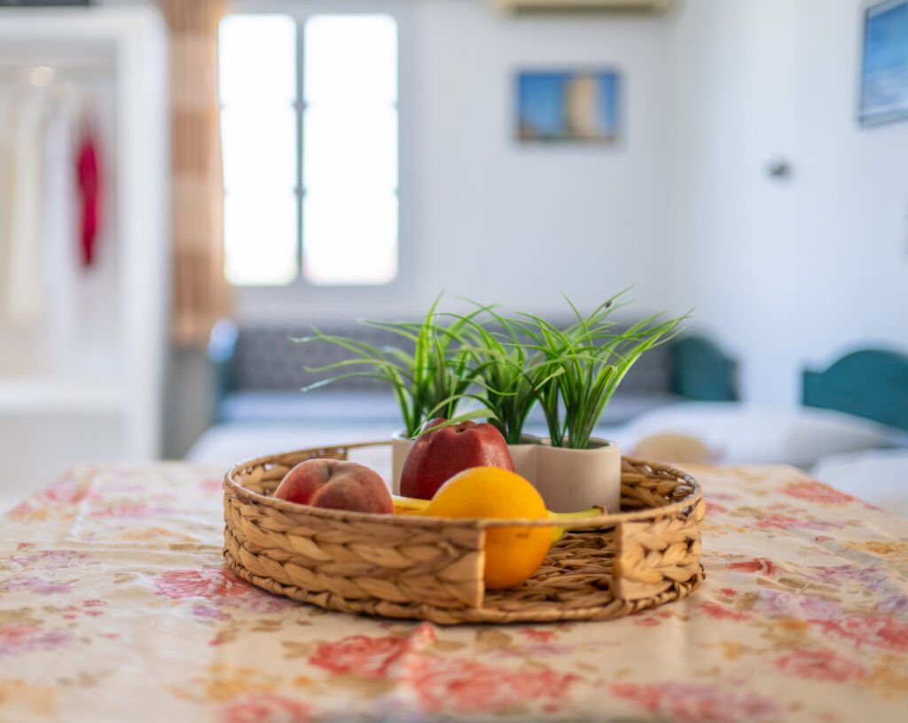 Studio with Terrace - Number 1 (15)