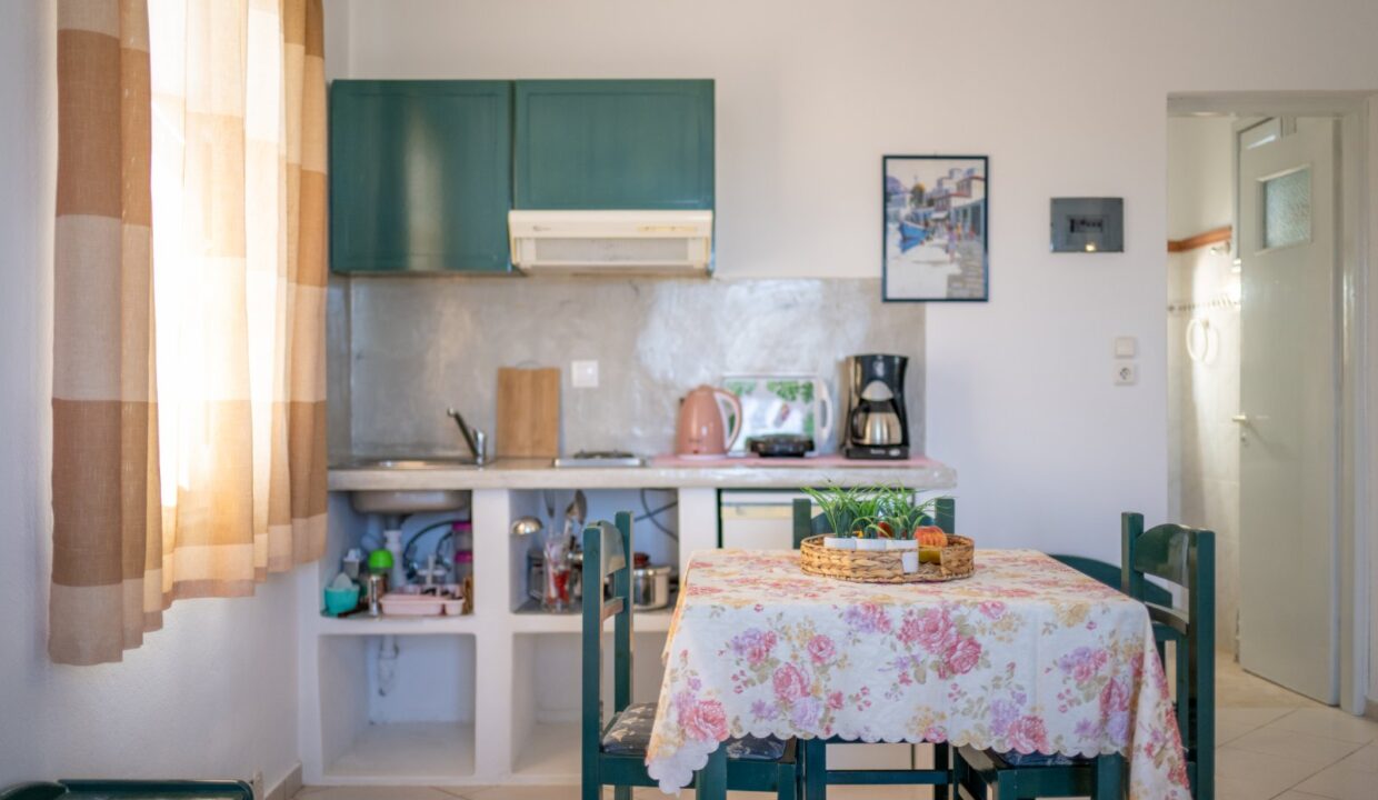 Studio with Terrace - Number 1 (19)