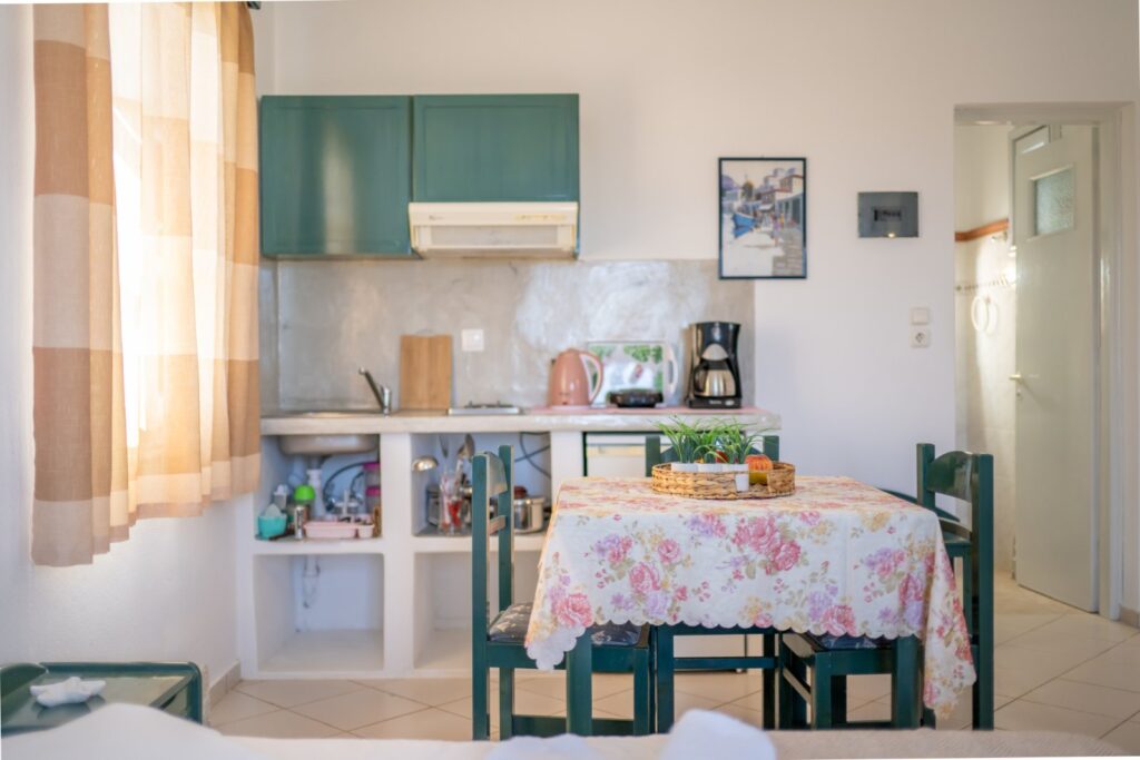 Studio with Terrace - Number 1 (8)