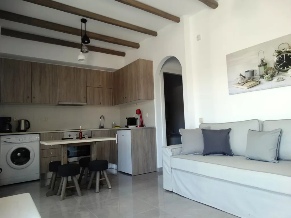 Superior Apartment 1 (4)