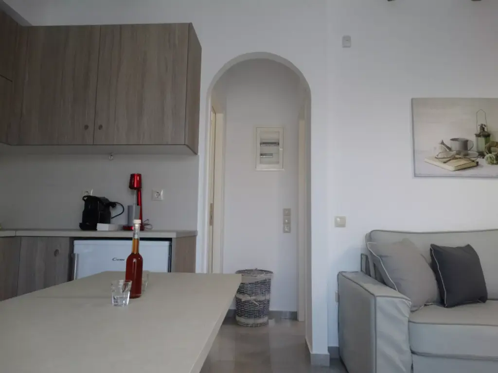 Superior Apartment 1 (9)