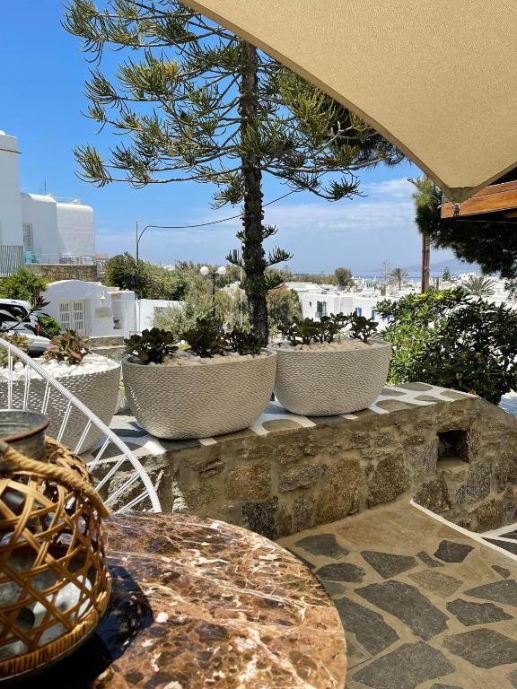 deluxe master suite (9)