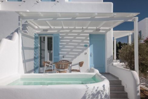 Living Suite with plunge pool (13)