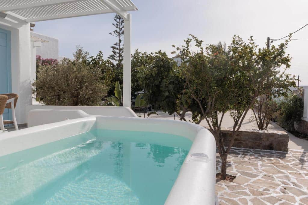 Living Suite with plunge pool (16)