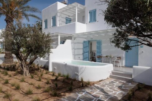 Living Suite with plunge pool (19)