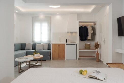 Living Suite with plunge pool (8)