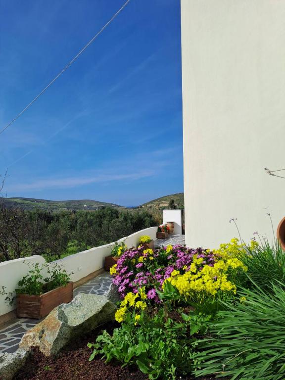 1 Bed Apartment (12)