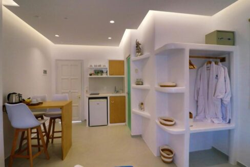 Elegant Triple Studio - Garden view (3)