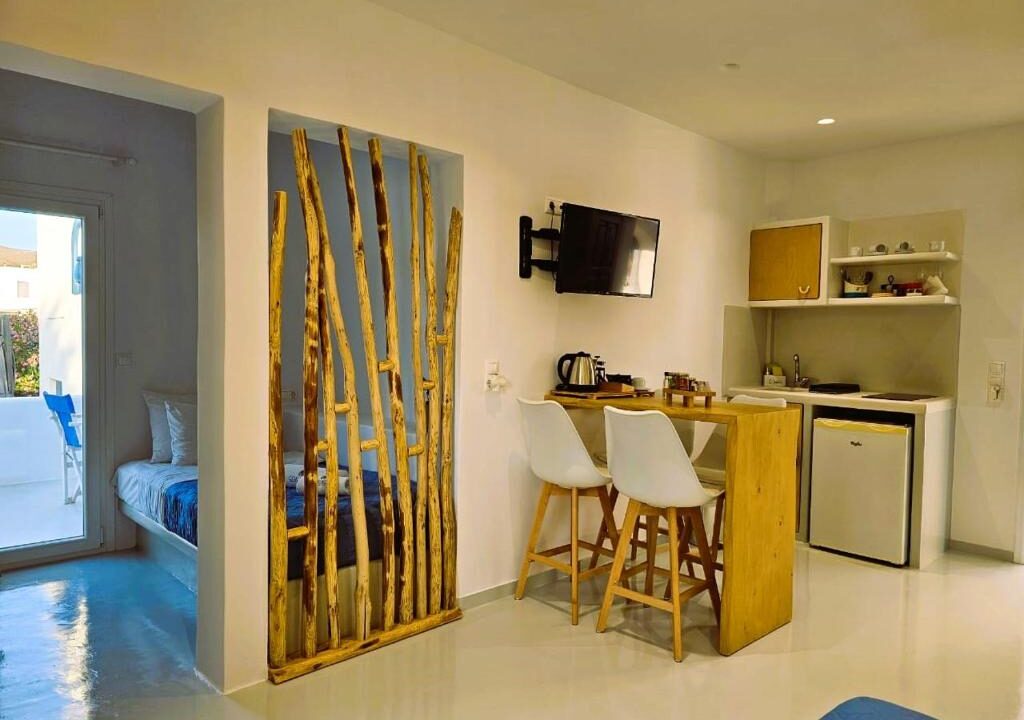 Elegant Triple Studio - Garden view (9)