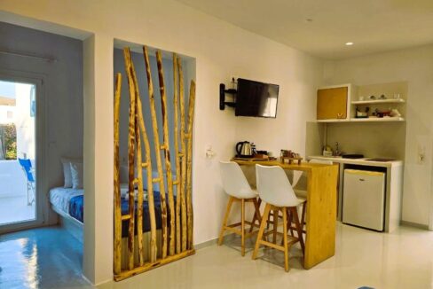 Elegant Triple Studio - Garden view (9)